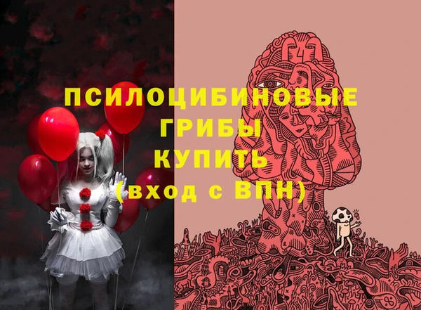 спайс Вяземский